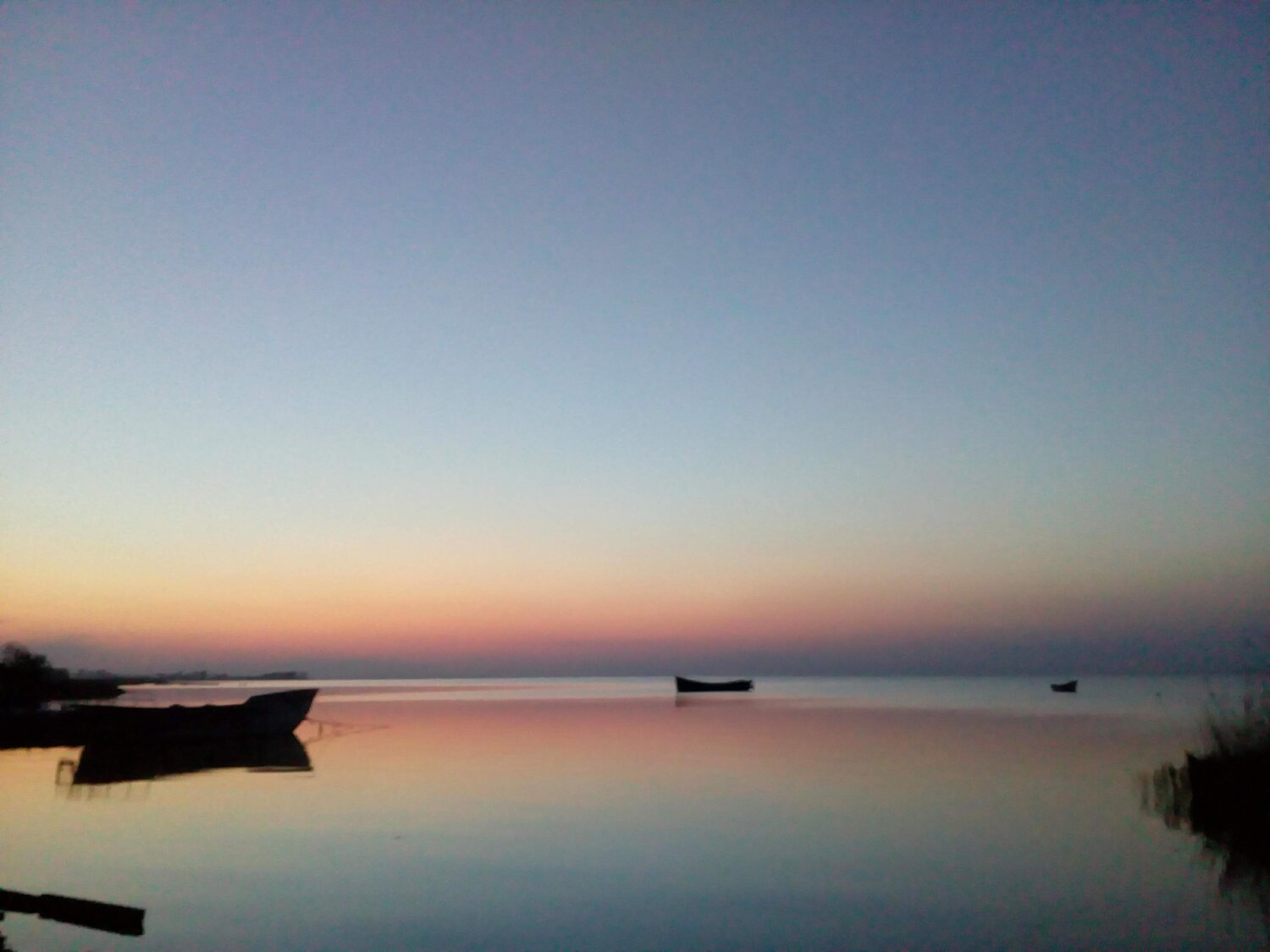 Photo #5169619