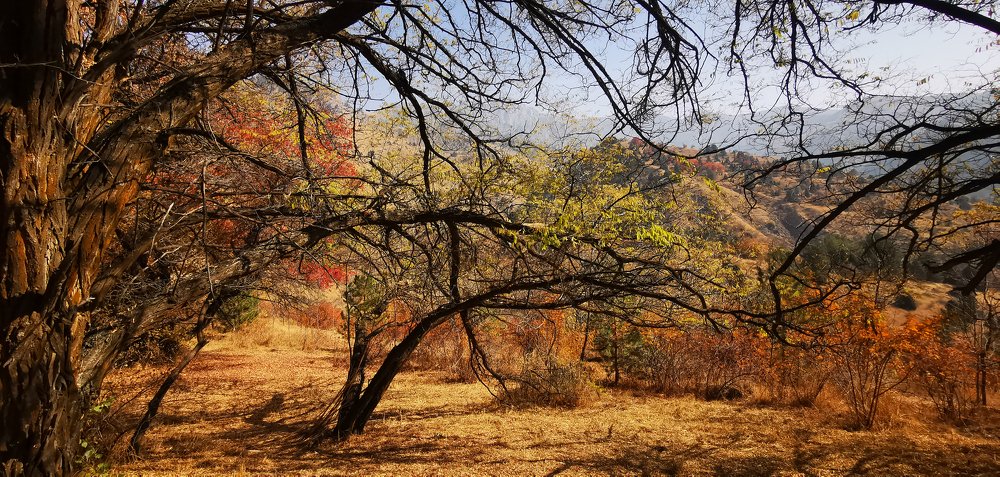 Photograph by Yuriy  Korsuntsev