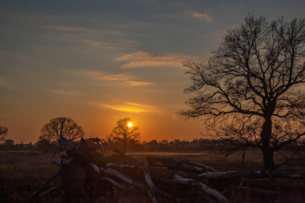 Закат в Загородном парке