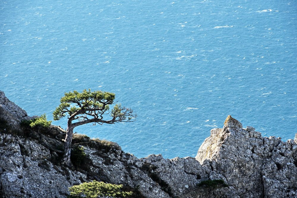 Photograph by Виктор Косюк