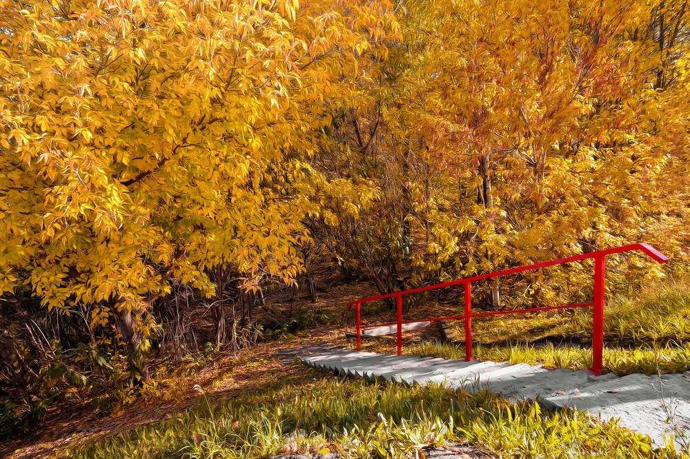 Лестница в осень