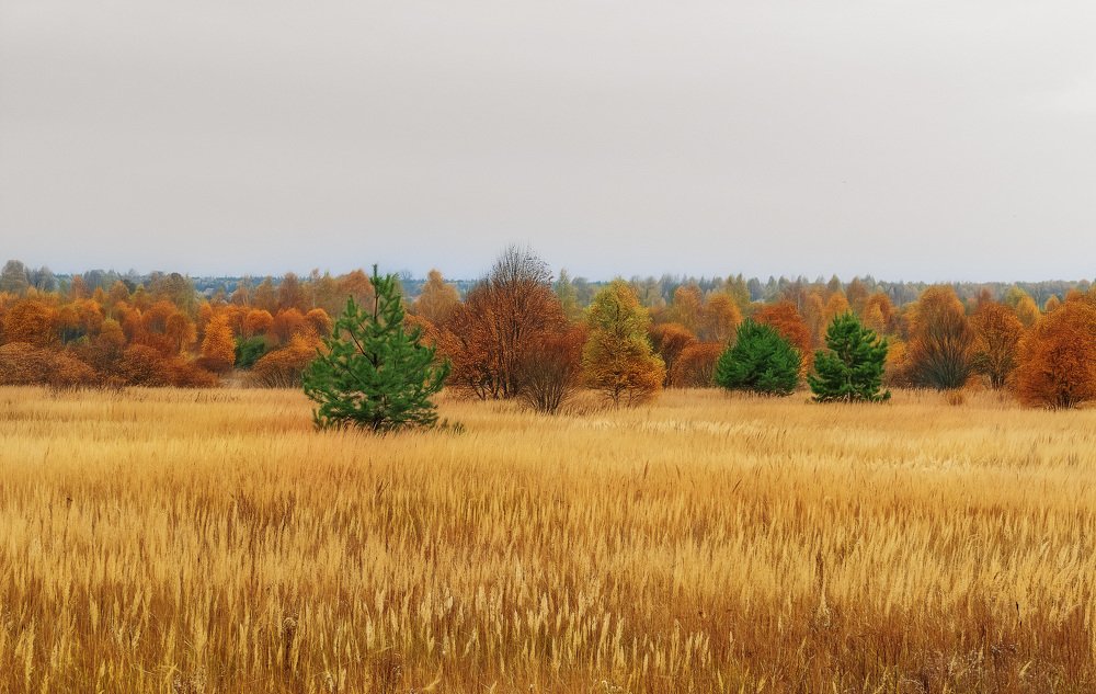 Photograph by Margarita