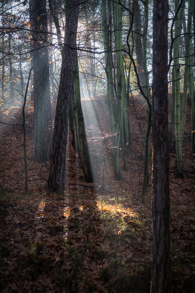 Photograph by Waldemar Gocałek