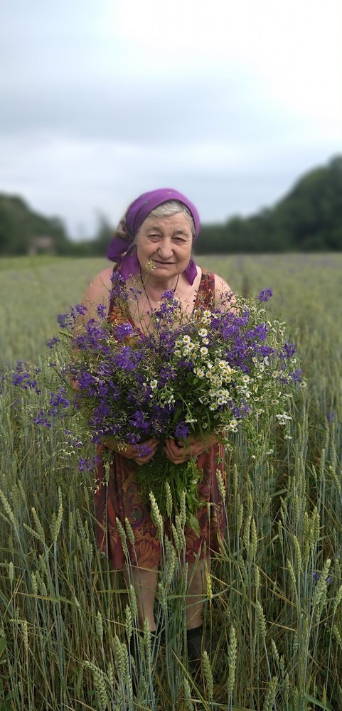 Свекровь