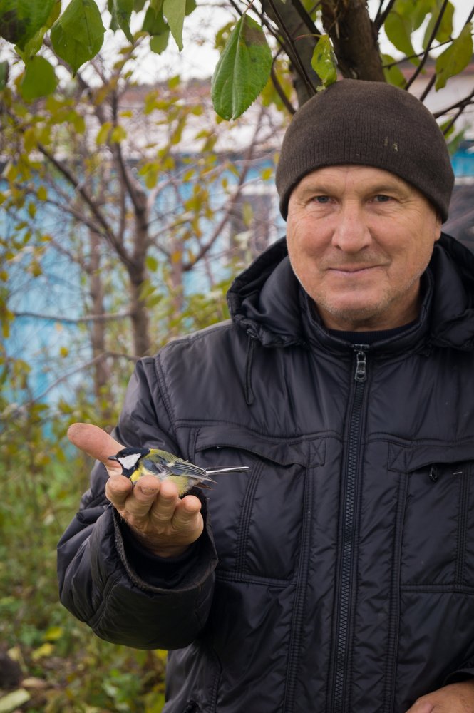 Синица в руке