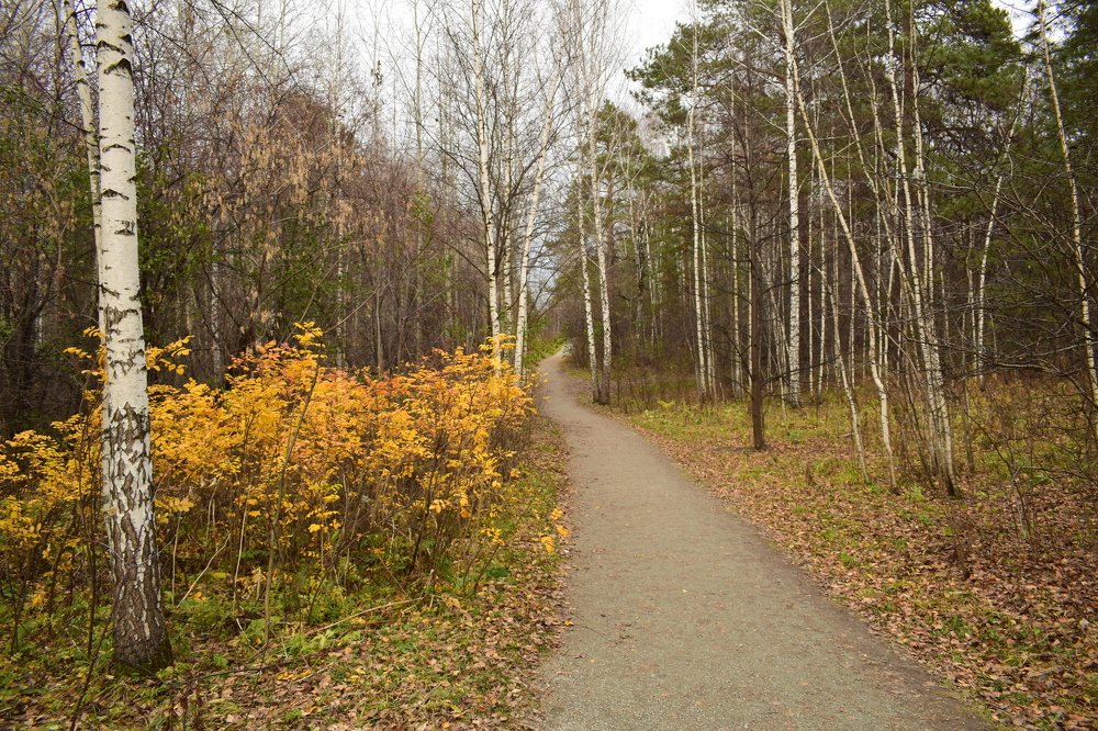 Осенняя прогулка