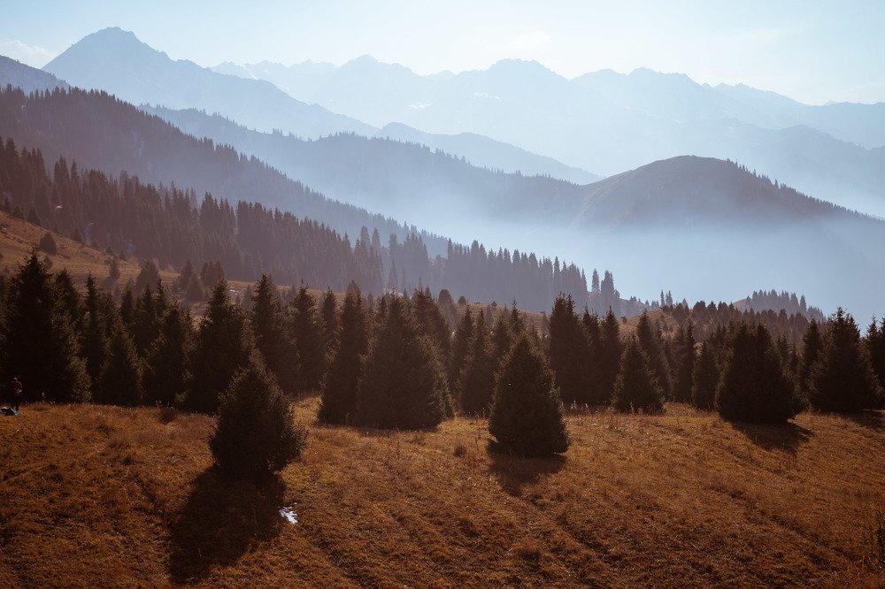 Photograph by Галина Канеева