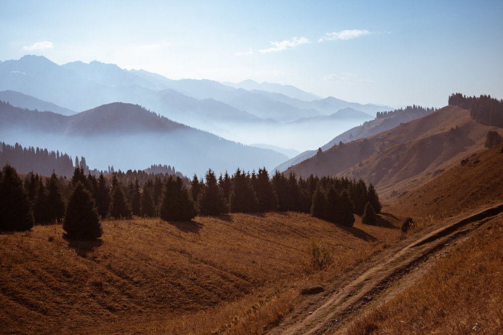 Photograph by Галина Канеева