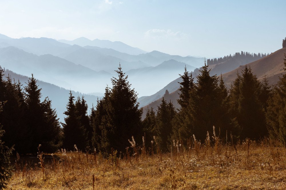 Photograph by Галина Канеева