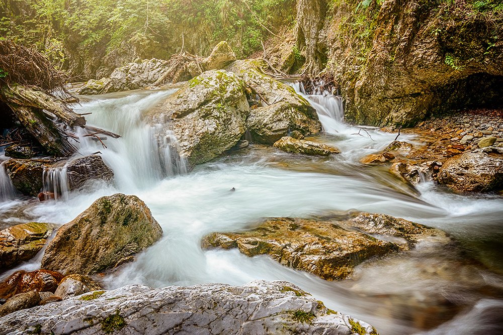 Фотография автора Bogdan Negoita