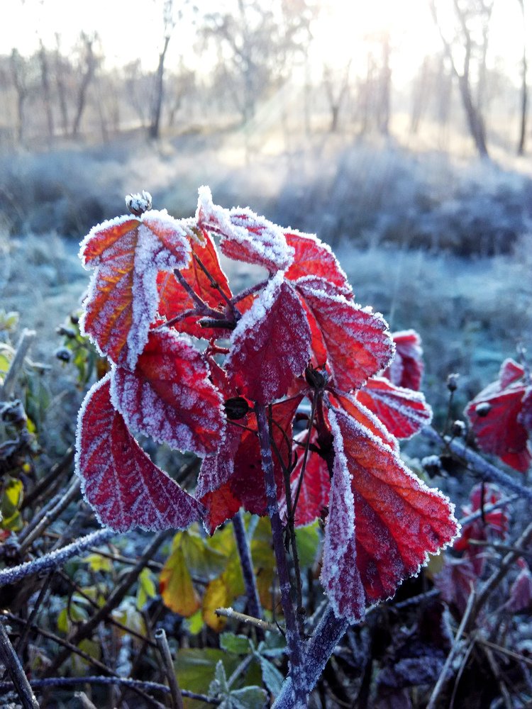 Photograph by Люба