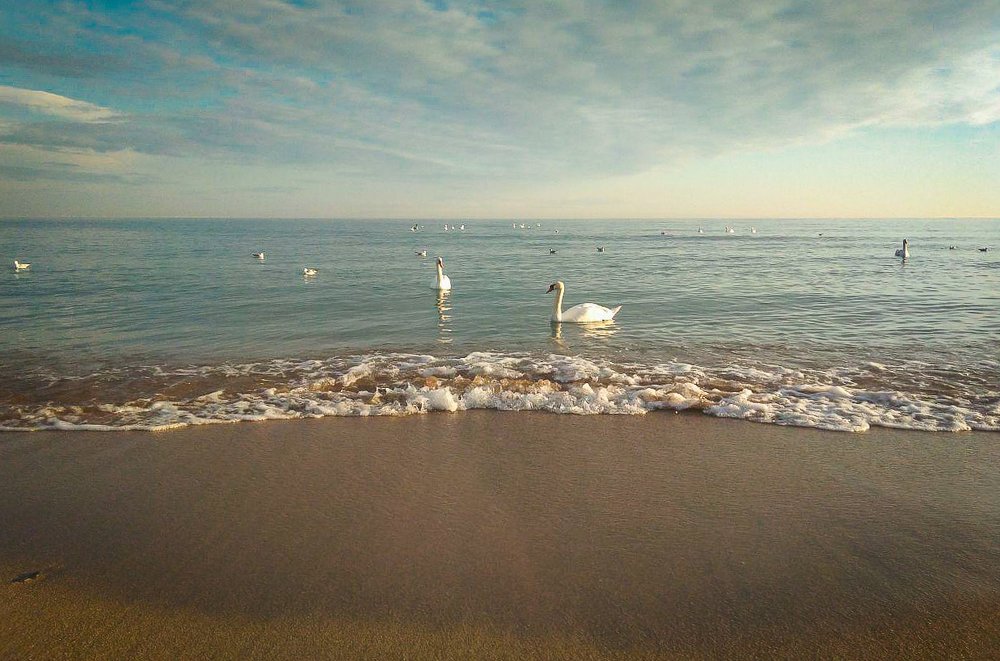 Photograph by Алексей Цесельский