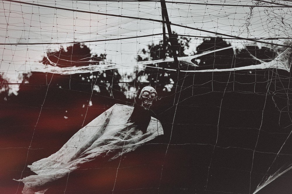 Photograph by Marius Žvikas