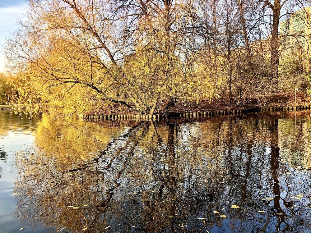 Золотая осень