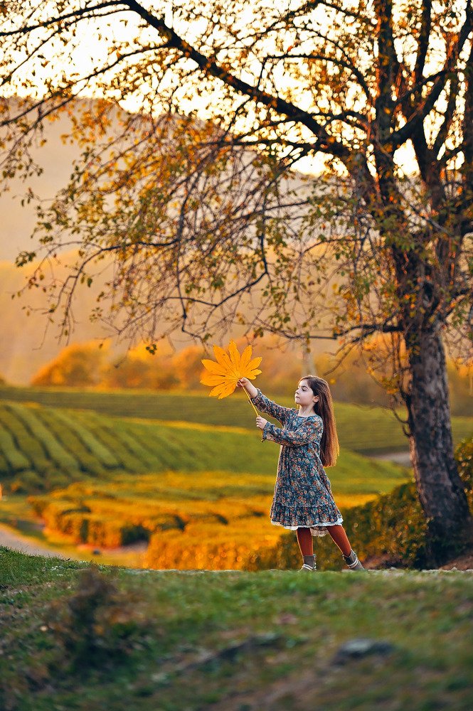 Photograph by Денис Черепко