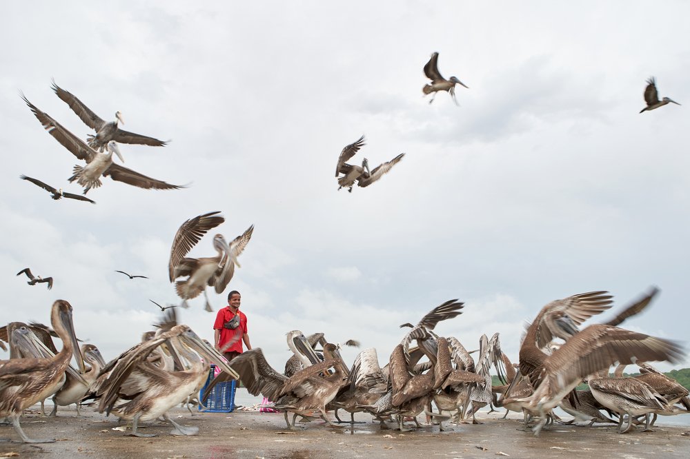 Photograph by Aliaksandr Pasechnik
