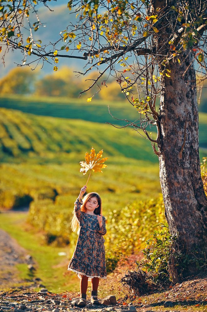 Photograph by Денис Черепко