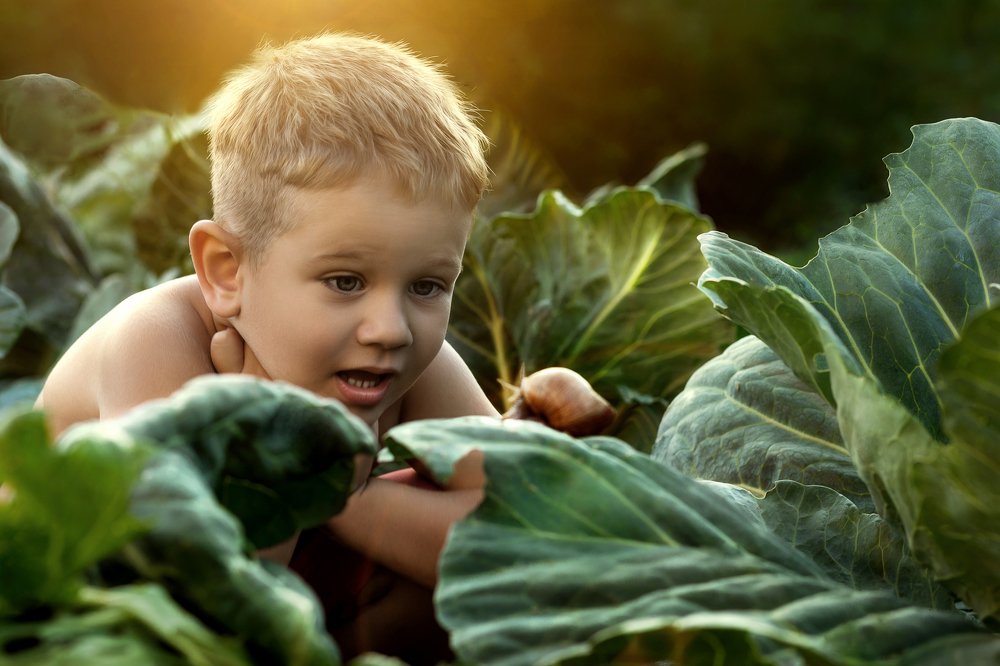 Фотография автора Ольга Раловец