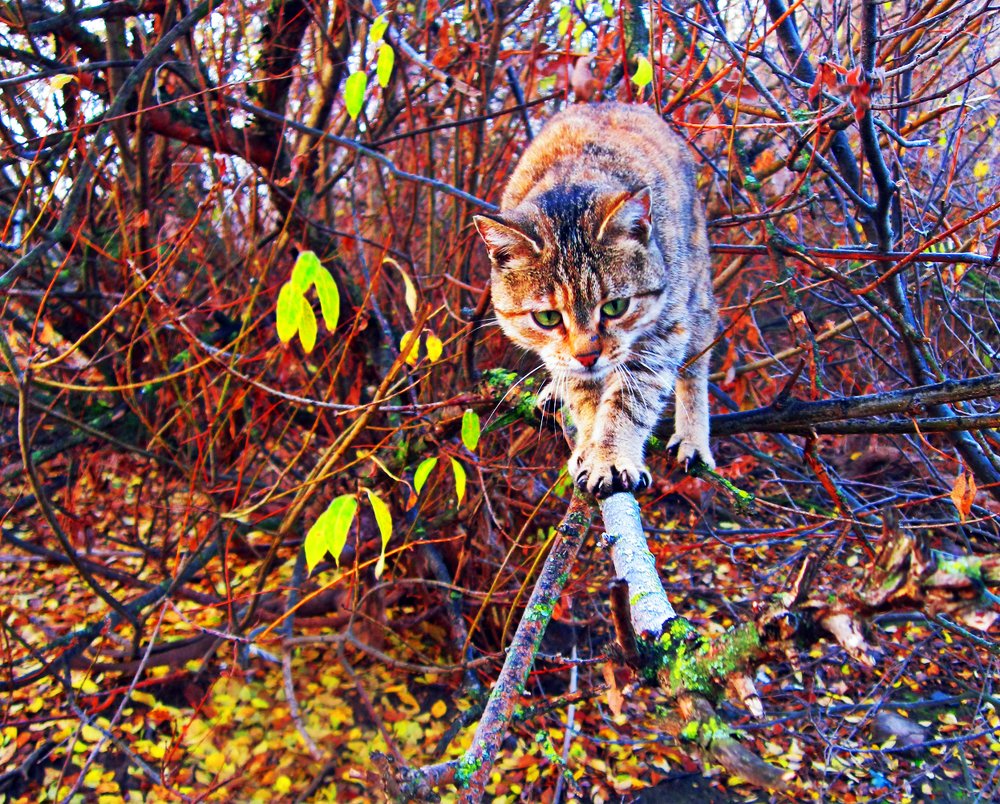 Photograph by Татьяна Королёва