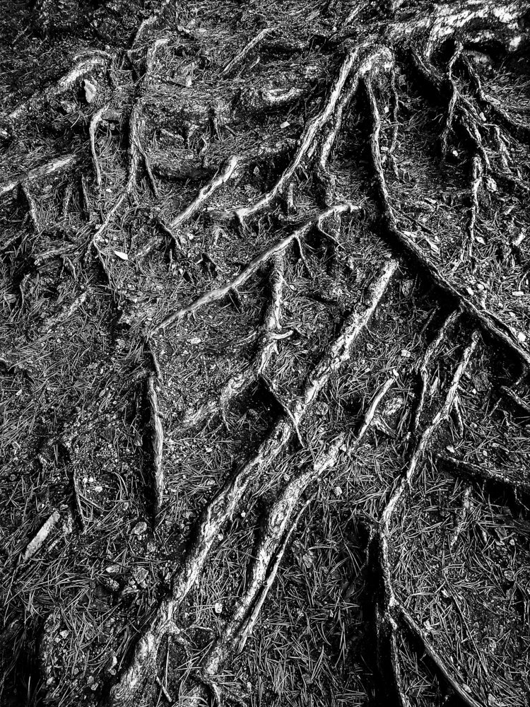 Photograph by Евгений Гецев