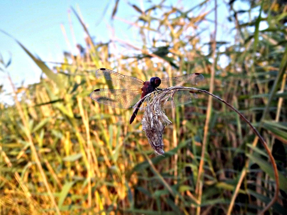 Photograph by Татьяна Королёва