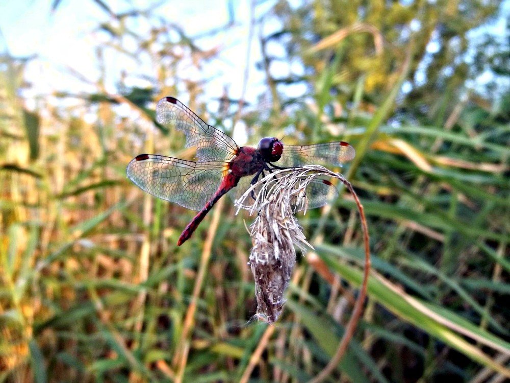 Photograph by Татьяна Королёва