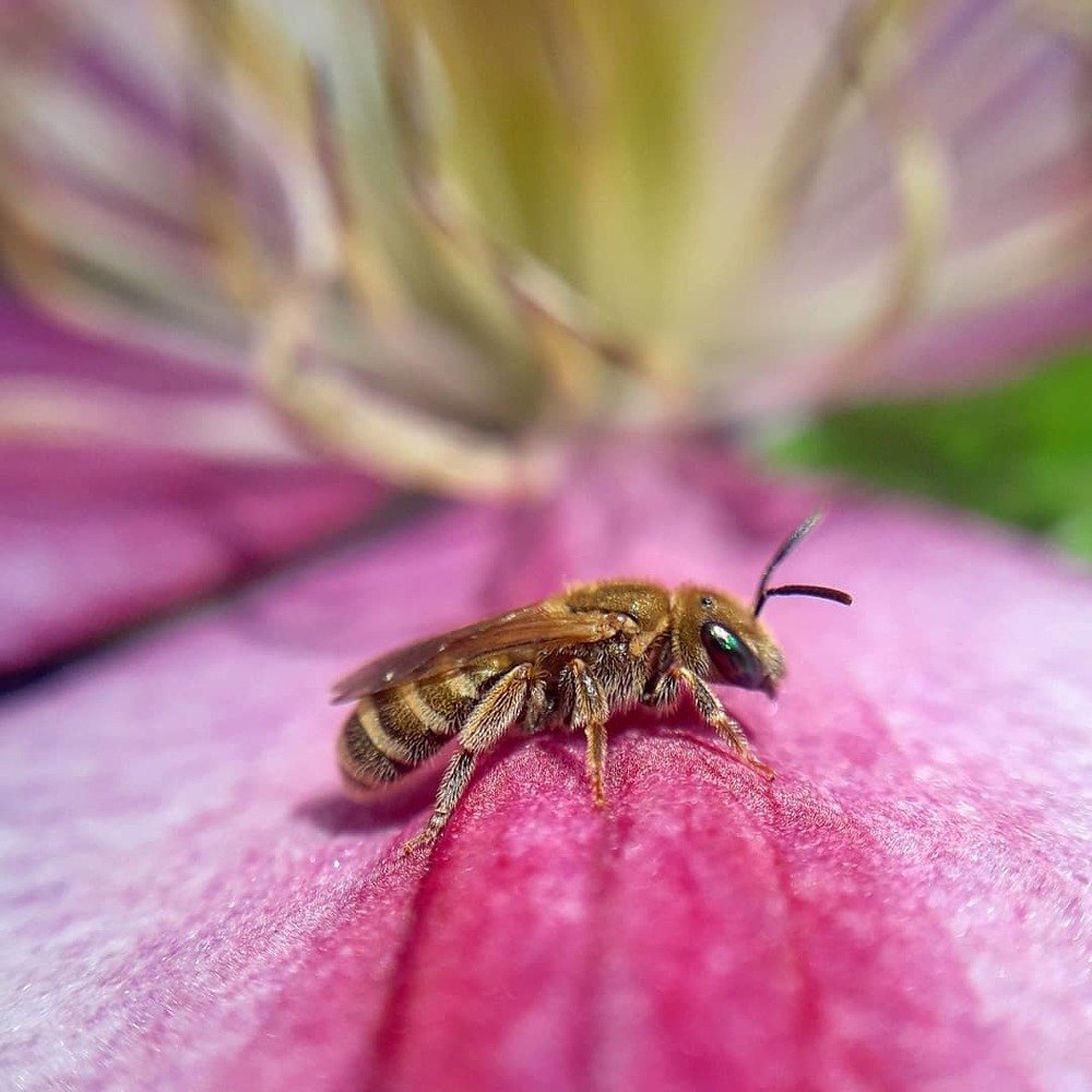 Photograph by Оксана Кочубеева