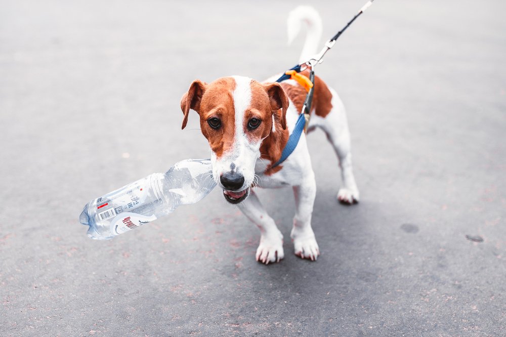 Photograph by Andrey Maksimov