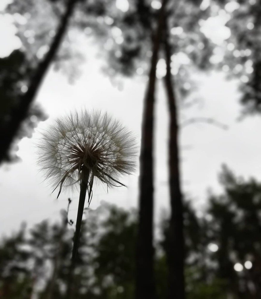Photograph by Ірина Дрок