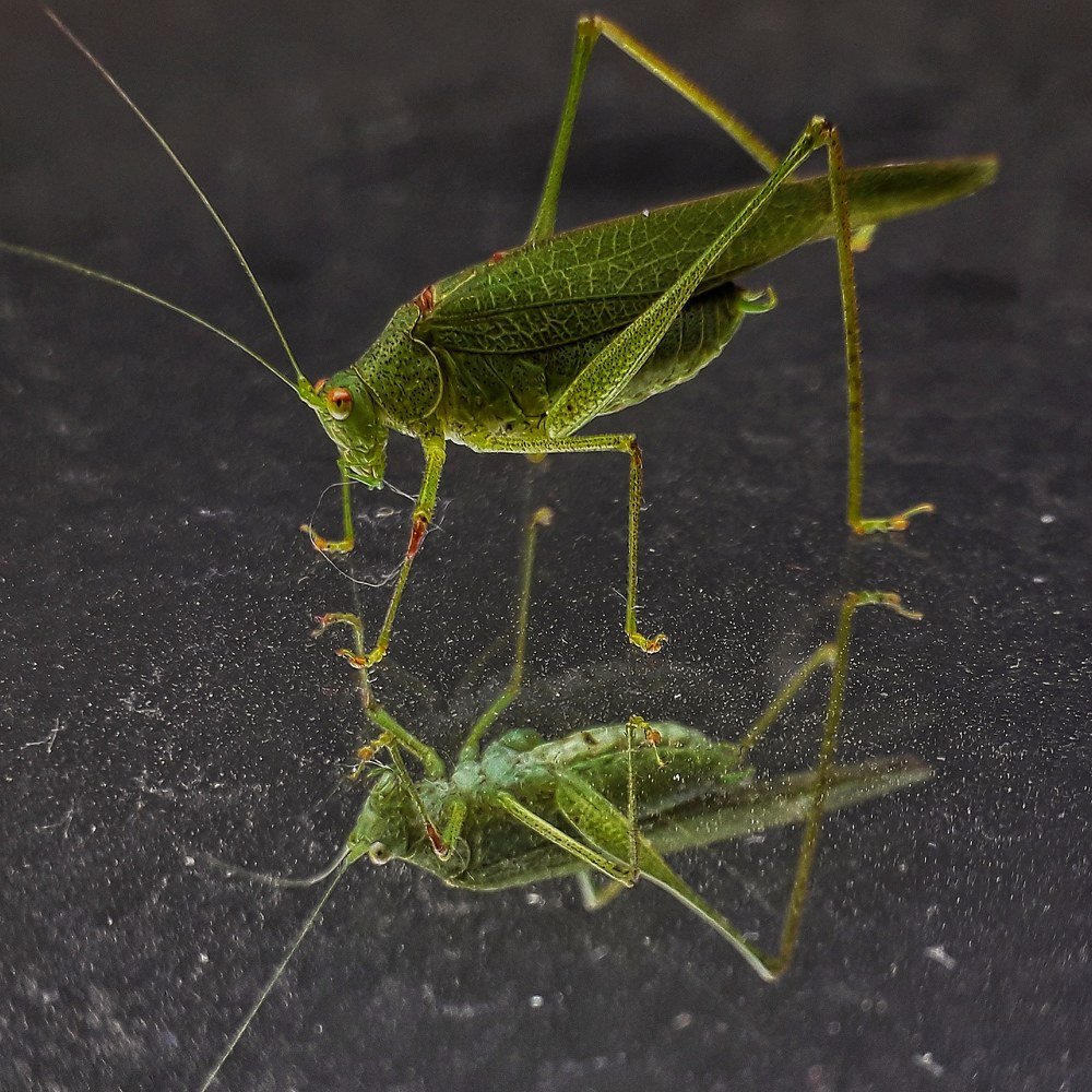 Photograph by Оксана Кочубеева