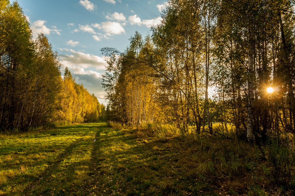 Photograph by Андрей Папанов