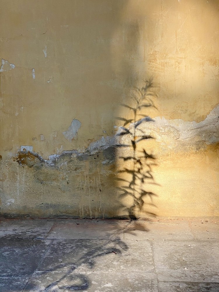 Photograph by Ольга Козлова