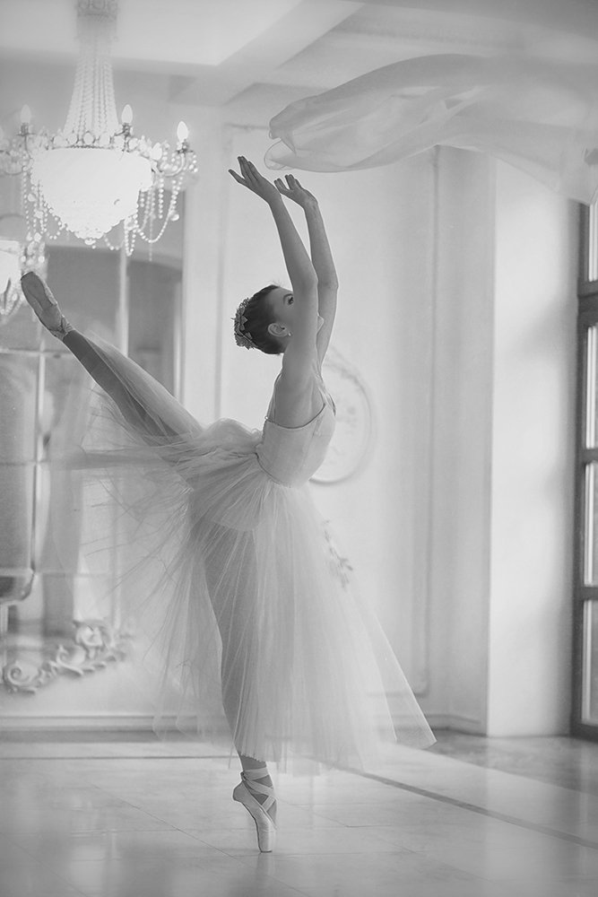 Фотография автора Наталья Законова