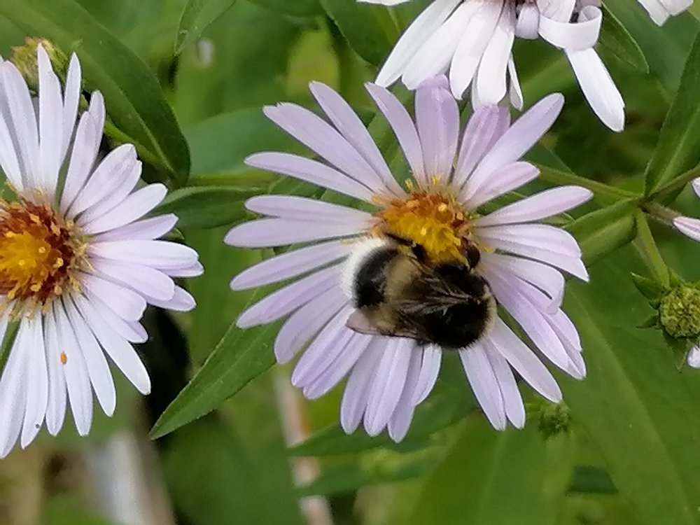 Photograph by Anna Makogonova