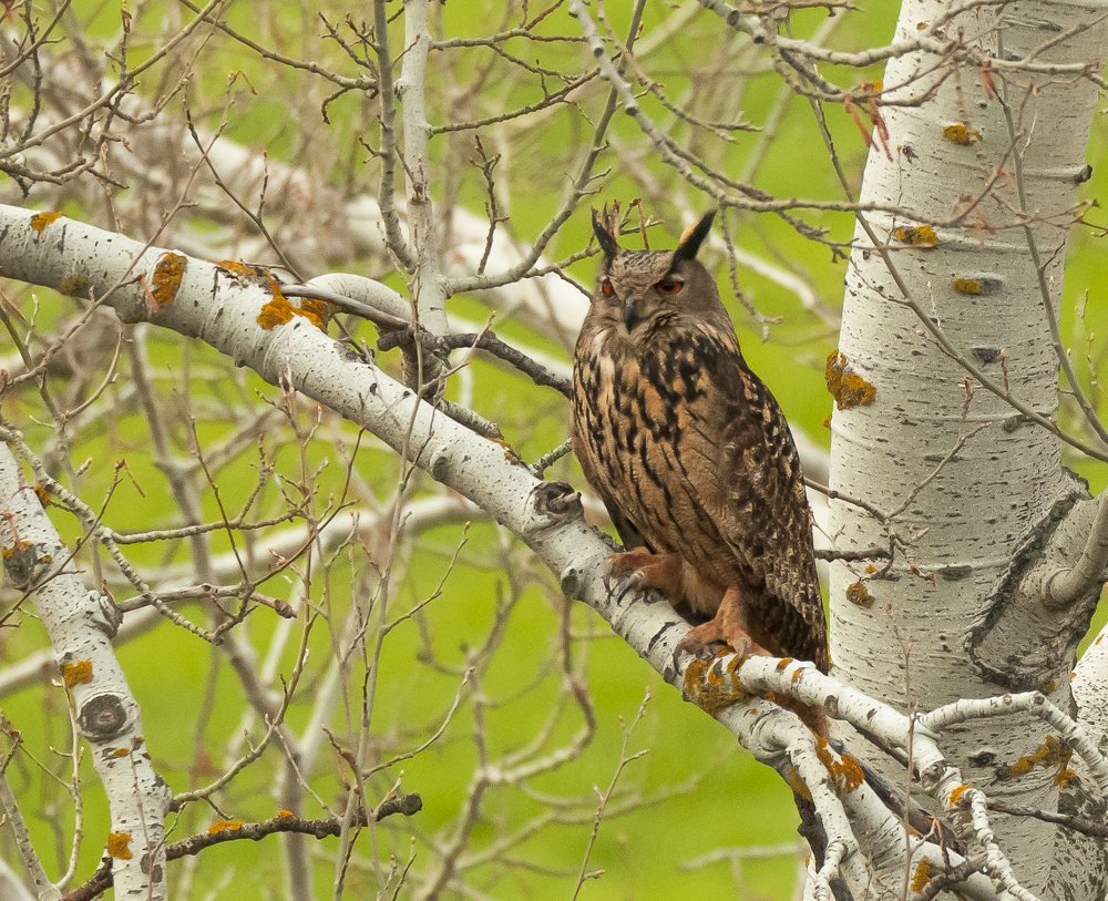 Photograph by Jesus Varas