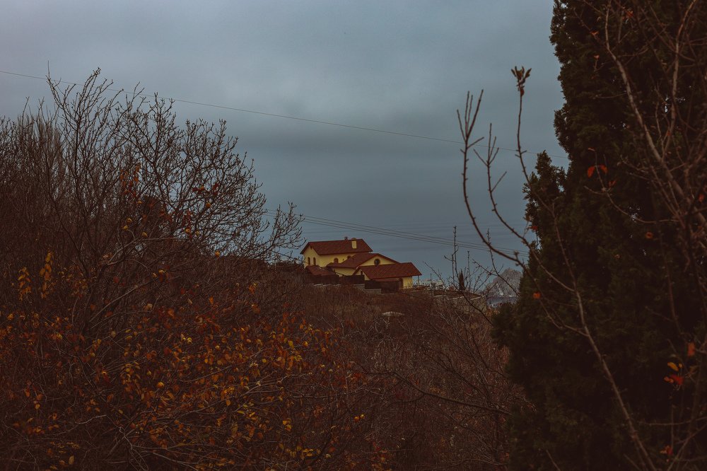 Photograph by Nadezhda Stoliarova