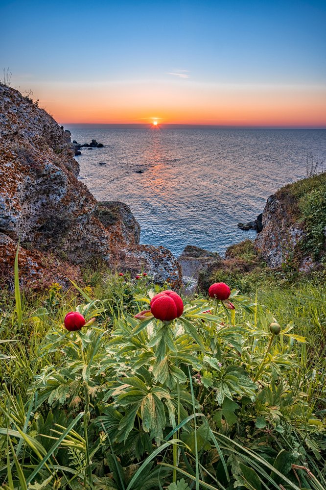 Photograph by Пламен Куденко