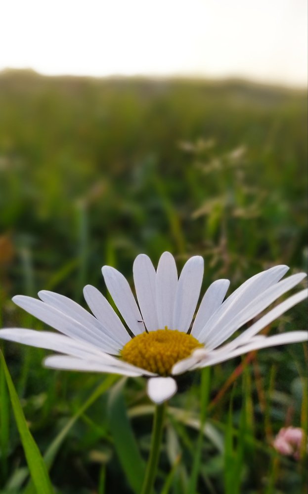 Фотография автора Наталья Татаринова