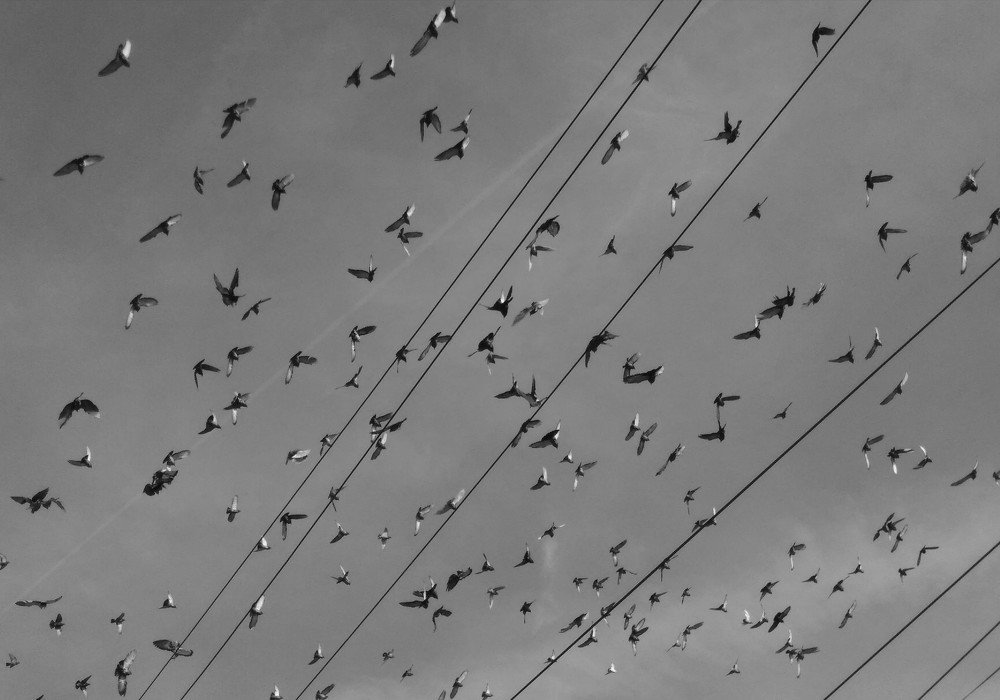 Photograph by Елена Фролова