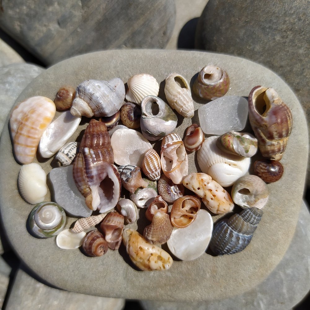 Фотография автора Наталья Татаринова