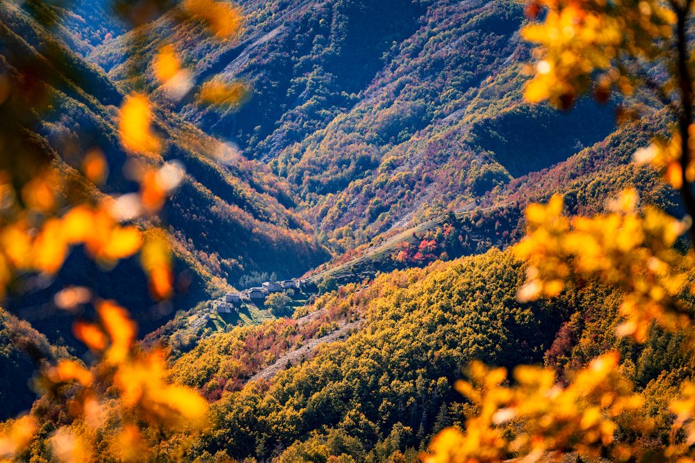 Photograph by Пламен Куденко