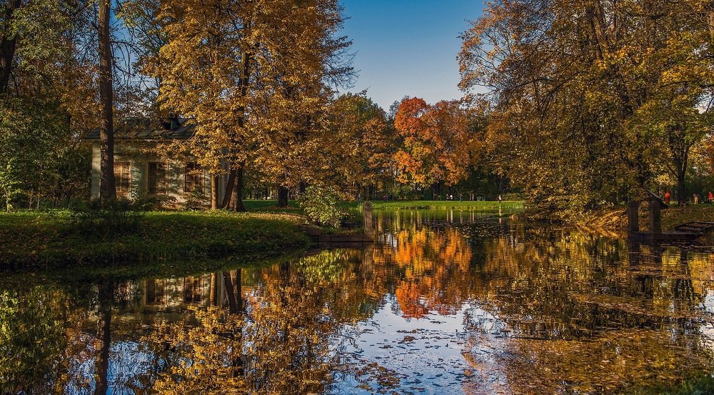 Буйство красок в Александровском парке