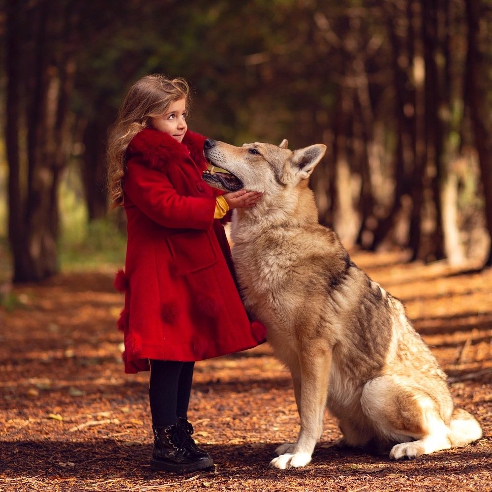 Photograph by Моника Залубянина