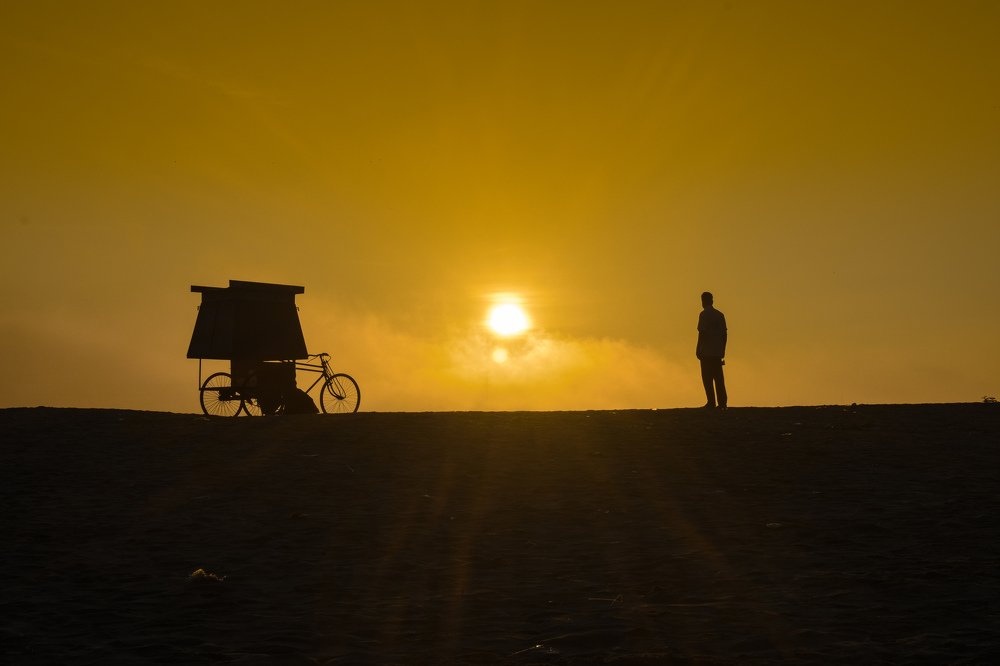 Фотография автора Mushfique Arefin