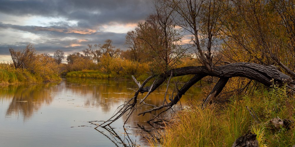 Photograph by Марат Кучкаев