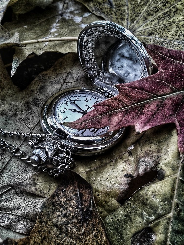 Photograph by Зайнаб Тиморевская