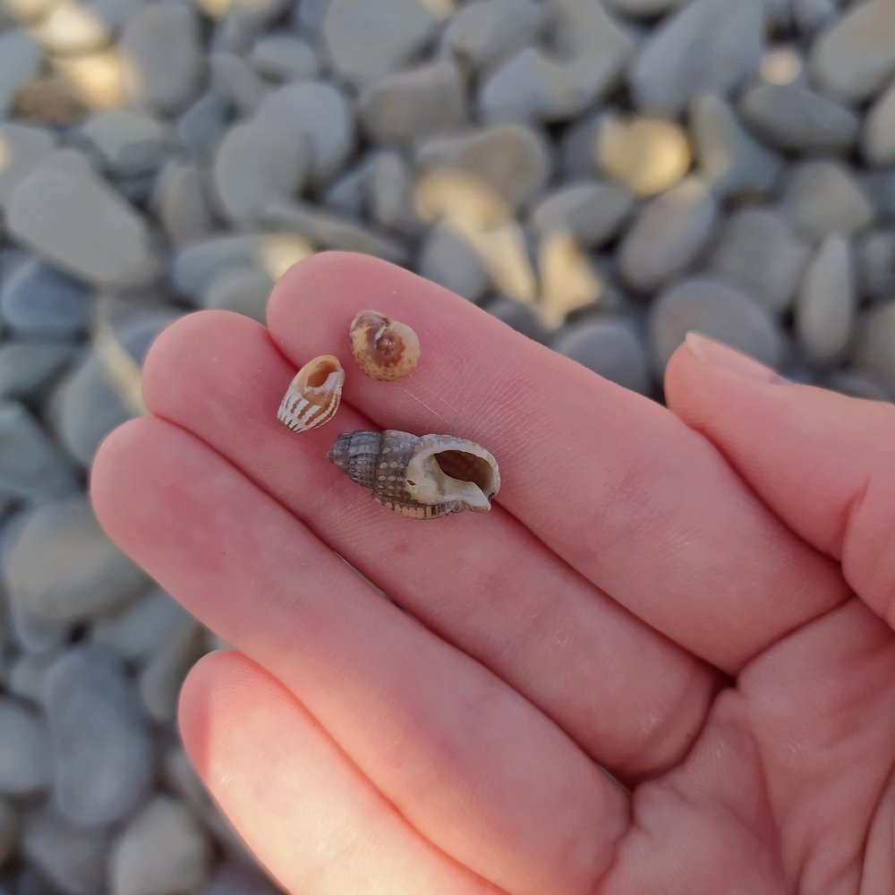 Фотография автора Наталья Татаринова