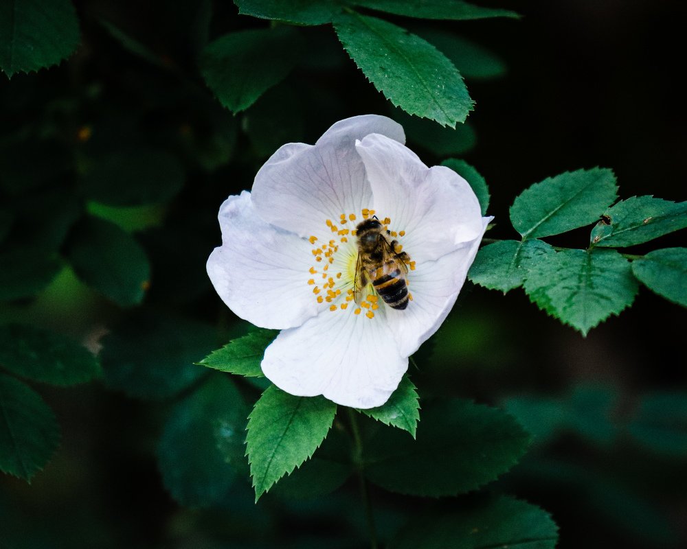 Photograph by Hasan Orhon