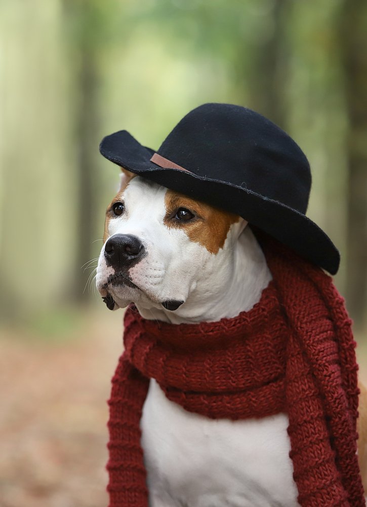 Photograph by Титаренко Ольга