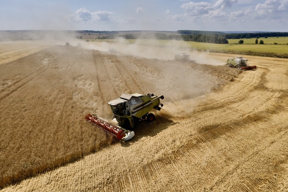 Photograph by Дмитрий Саржанов